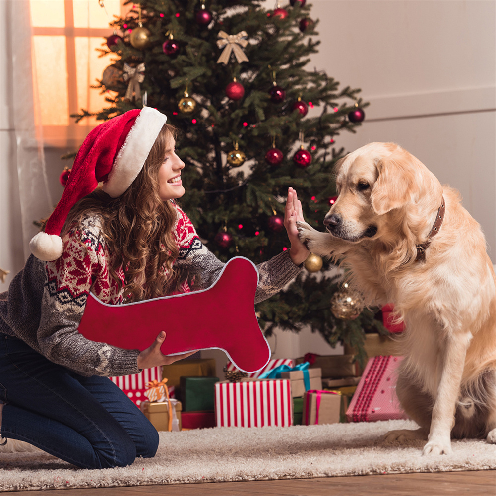 تخزين على شكل عظم للحيوانات ال - مراجعة Luxury Xmas Bags وسعره
